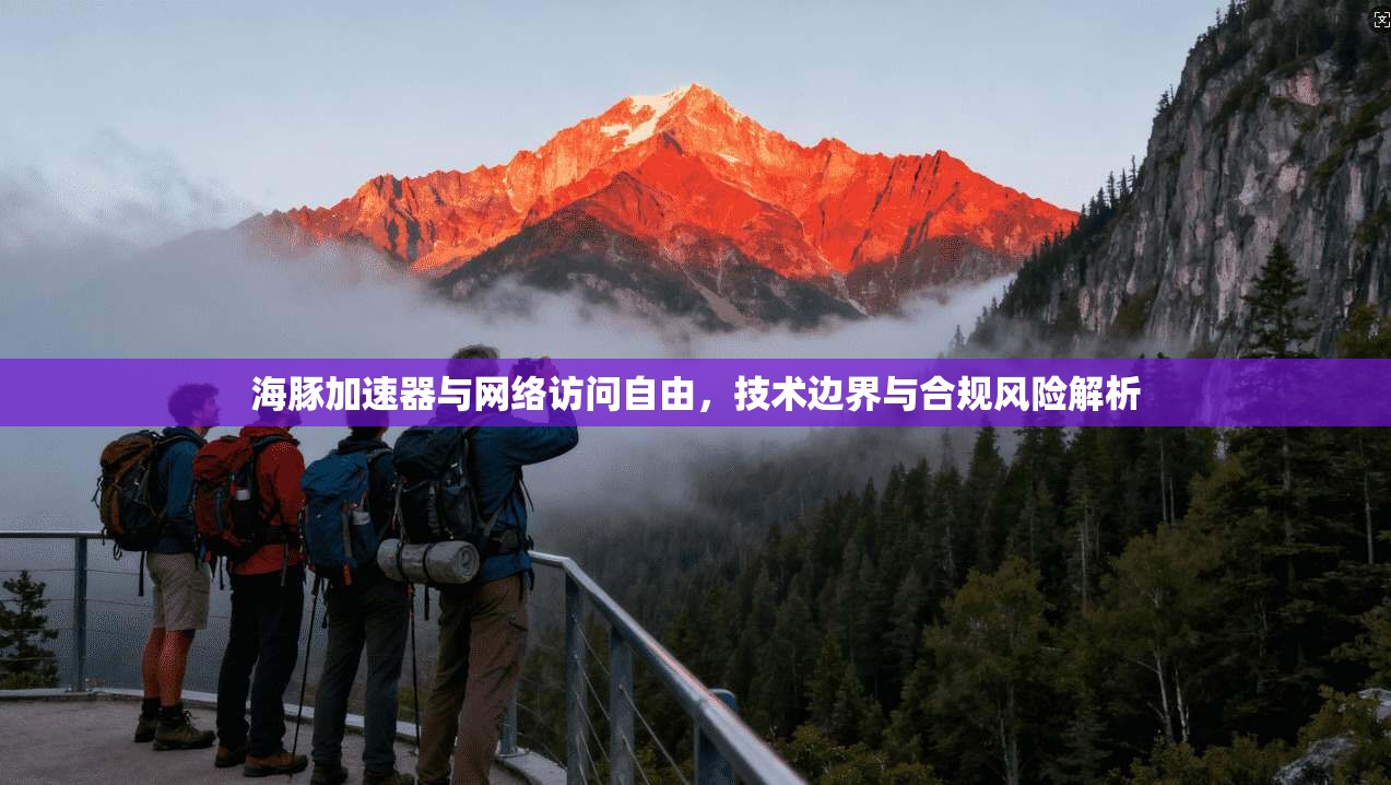 海豚加速器与网络访问自由，技术边界与合规风险解析