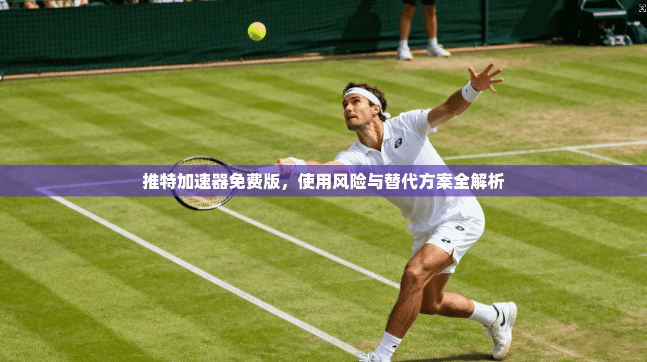 推特加速器免费版，使用风险与替代方案全解析