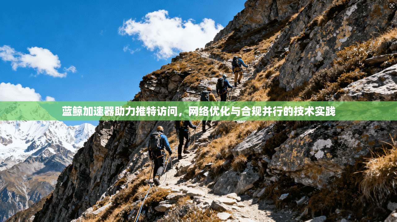 蓝鲸加速器助力推特访问，网络优化与合规并行的技术实践