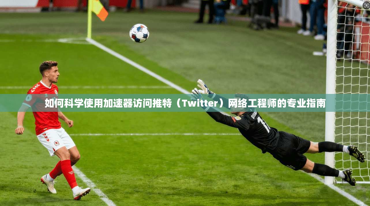 如何科学使用加速器访问推特（Twitter）网络工程师的专业指南