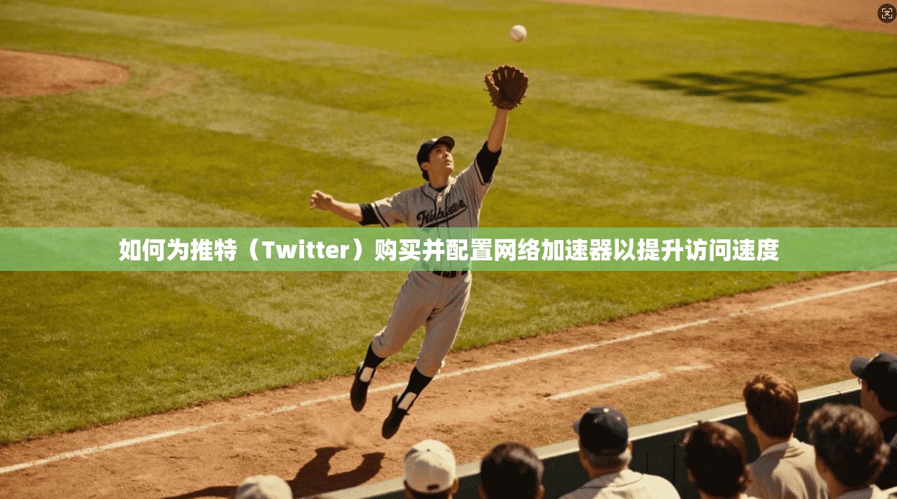 如何为推特（Twitter）购买并配置网络加速器以提升访问速度