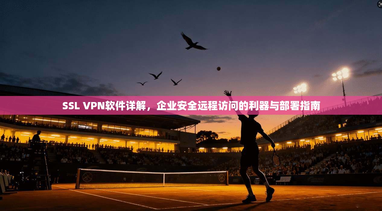 SSL VPN软件详解，企业安全远程访问的利器与部署指南