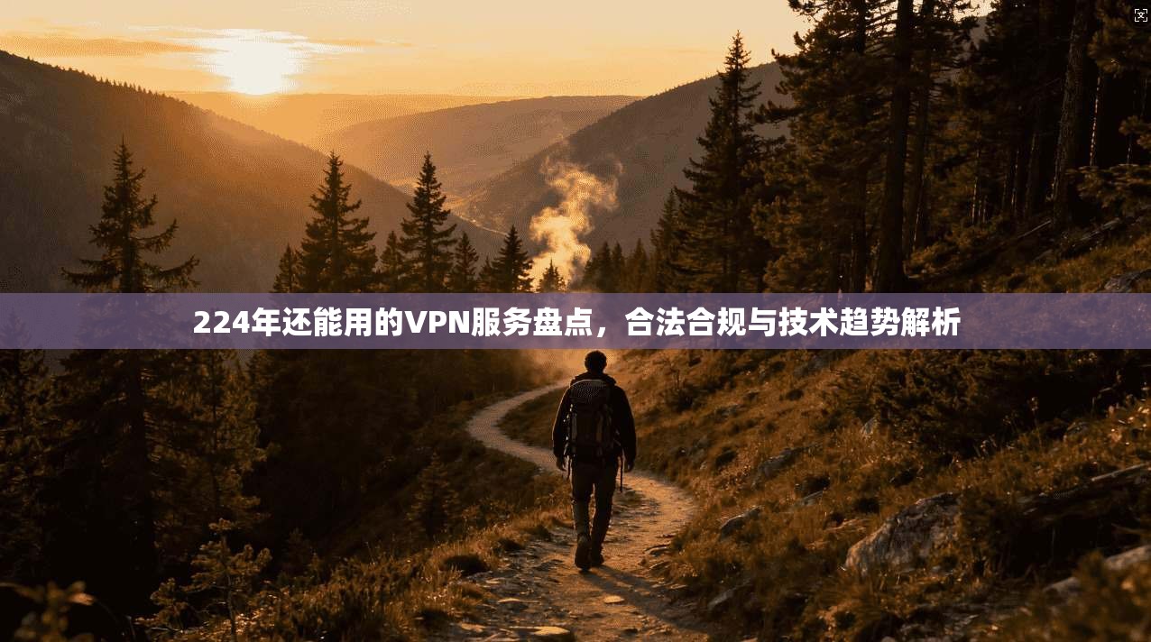 224年还能用的VPN服务盘点，合法合规与技术趋势解析