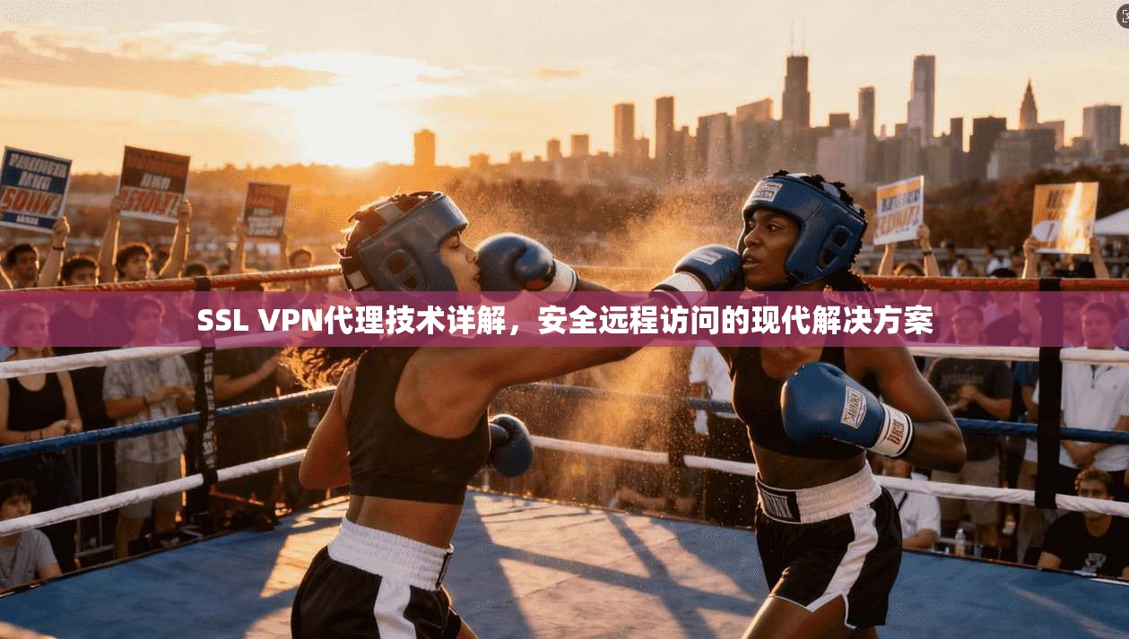 SSL VPN代理技术详解，安全远程访问的现代解决方案