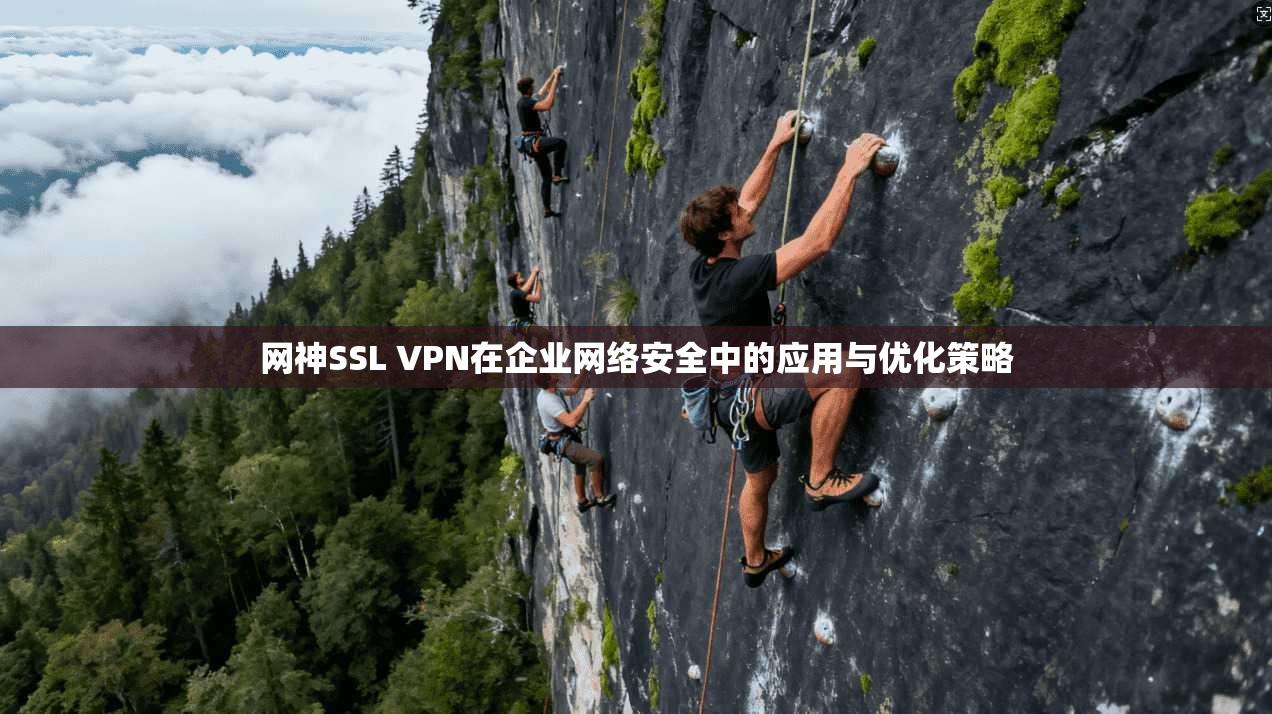 网神SSL VPN在企业网络安全中的应用与优化策略