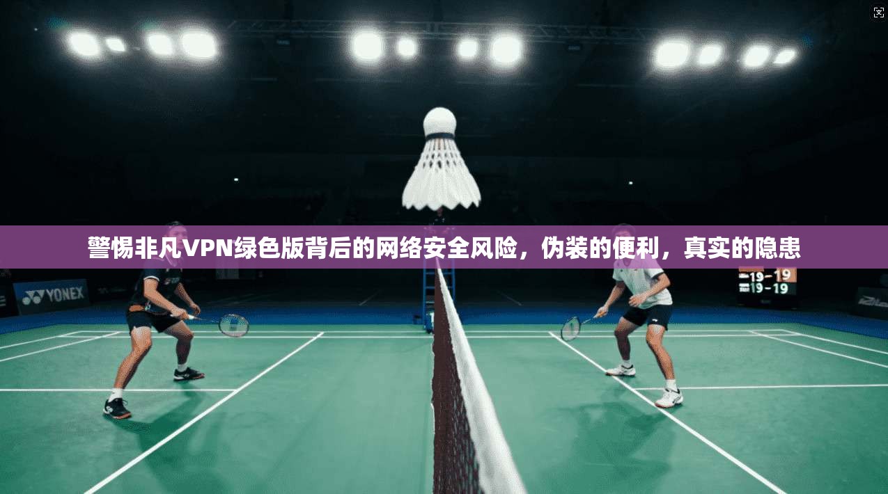 警惕非凡VPN绿色版背后的网络安全风险，伪装的便利，真实的隐患
