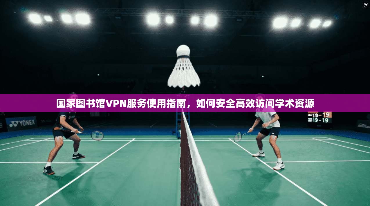 国家图书馆VPN服务使用指南，如何安全高效访问学术资源