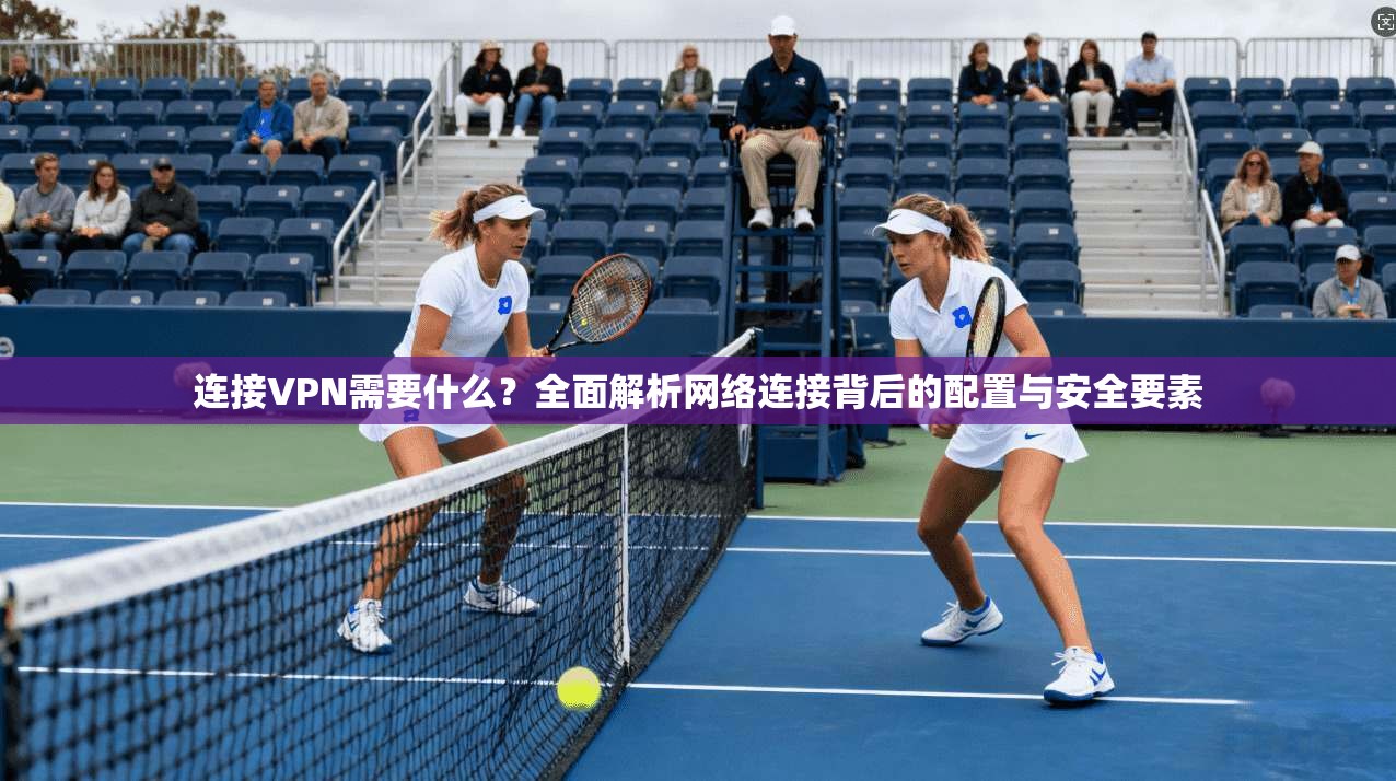连接VPN需要什么？全面解析网络连接背后的配置与安全要素