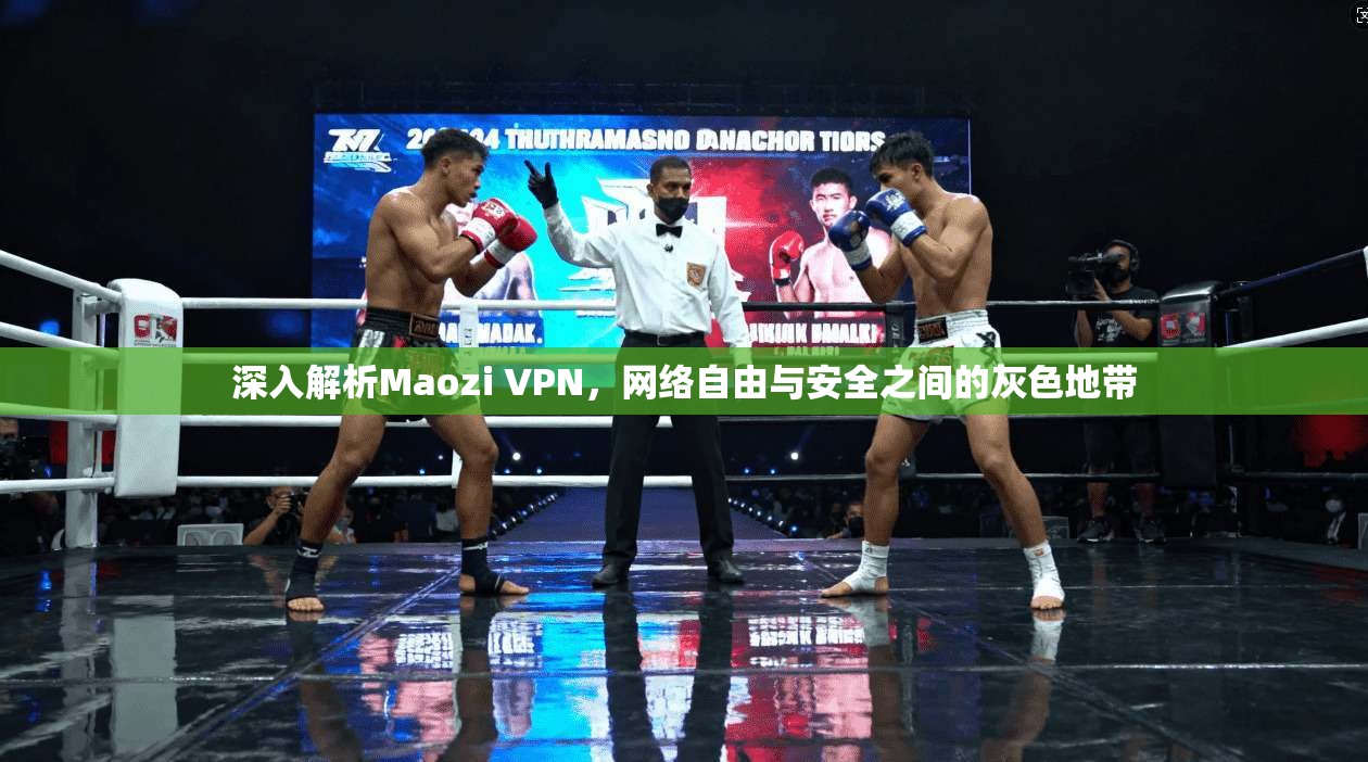 深入解析Maozi VPN，网络自由与安全之间的灰色地带