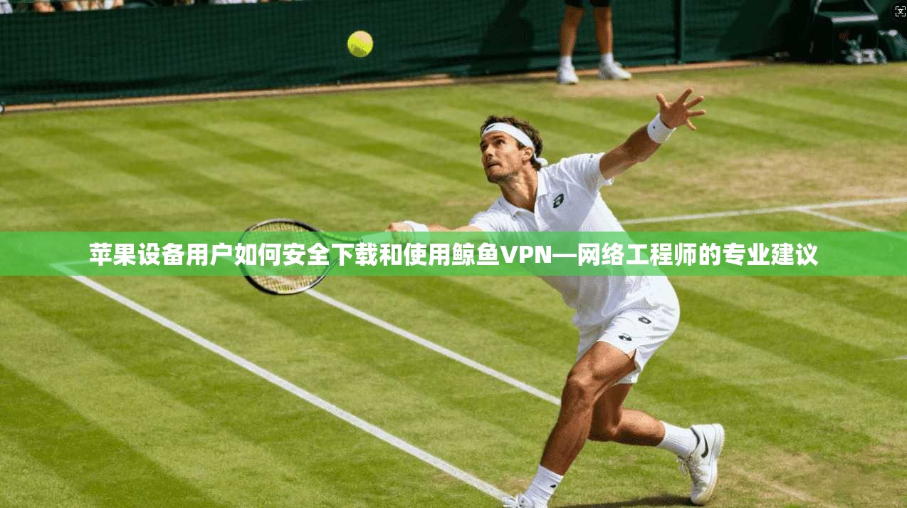 苹果设备用户如何安全下载和使用鲸鱼VPN—网络工程师的专业建议