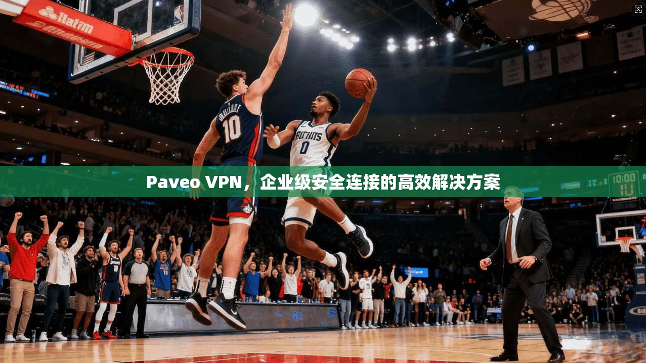 Paveo VPN，企业级安全连接的高效解决方案