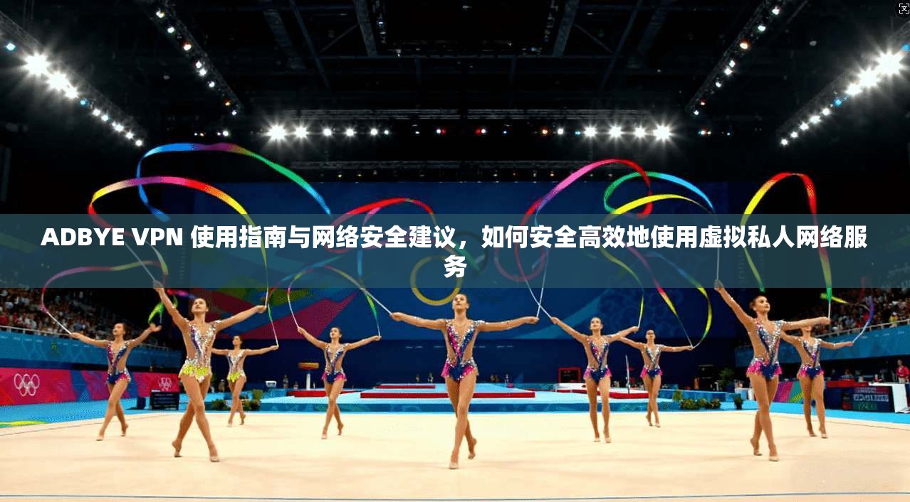 ADBYE VPN 使用指南与网络安全建议，如何安全高效地使用虚拟私人网络服务