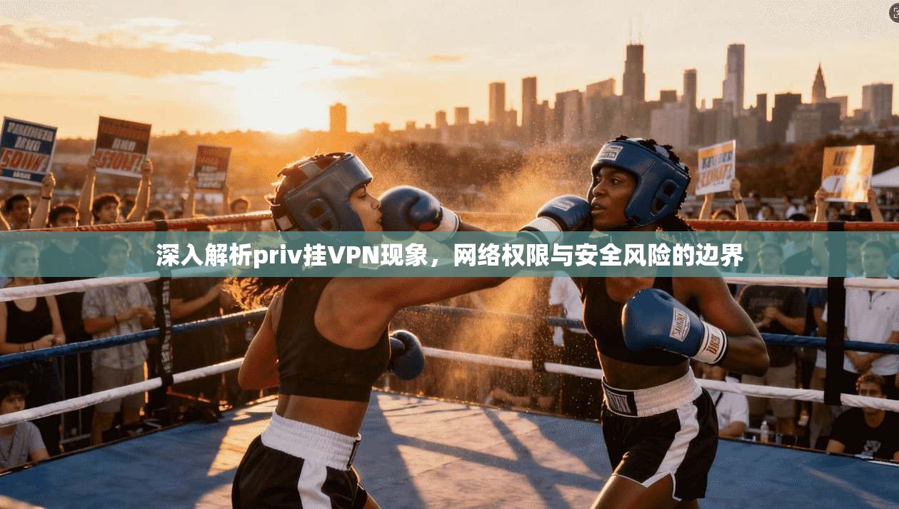 深入解析priv挂VPN现象，网络权限与安全风险的边界