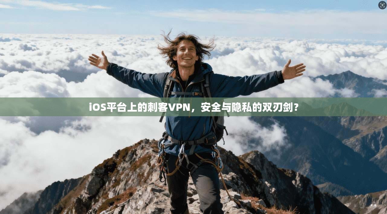 iOS平台上的刺客VPN，安全与隐私的双刃剑？