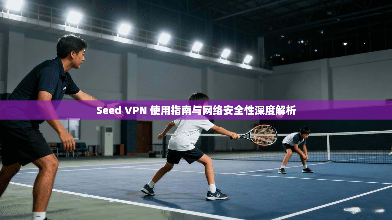 Seed VPN 使用指南与网络安全性深度解析