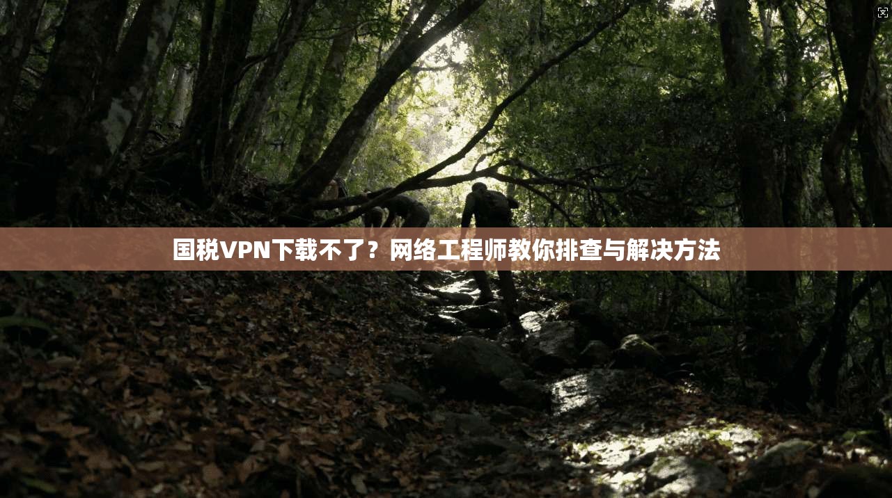 国税VPN下载不了？网络工程师教你排查与解决方法