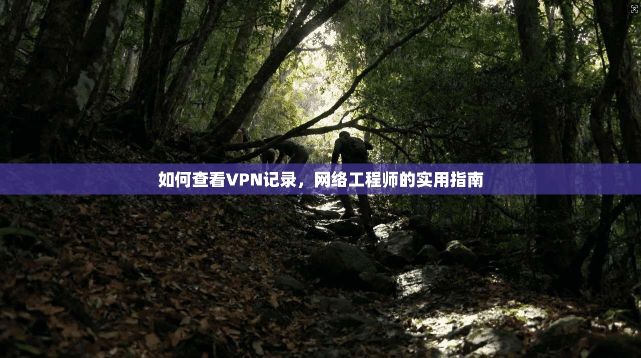 如何查看VPN记录，网络工程师的实用指南
