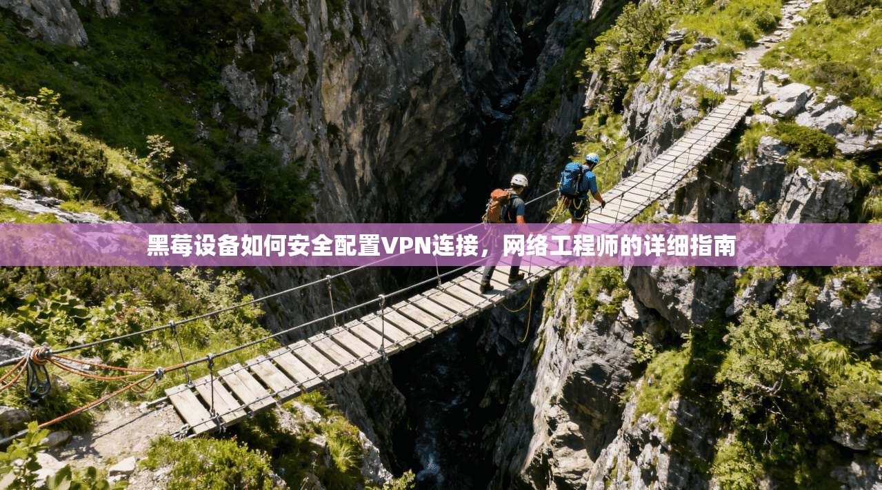 黑莓设备如何安全配置VPN连接，网络工程师的详细指南