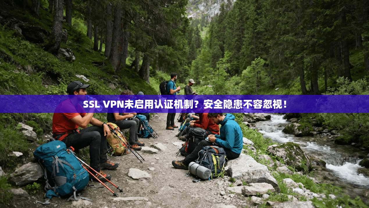 SSL VPN未启用认证机制？安全隐患不容忽视！
