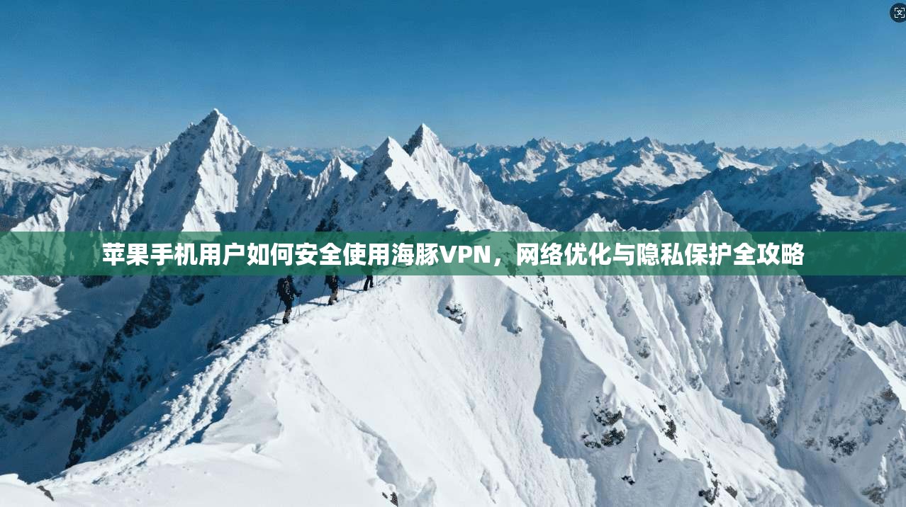 苹果手机用户如何安全使用海豚VPN，网络优化与隐私保护全攻略