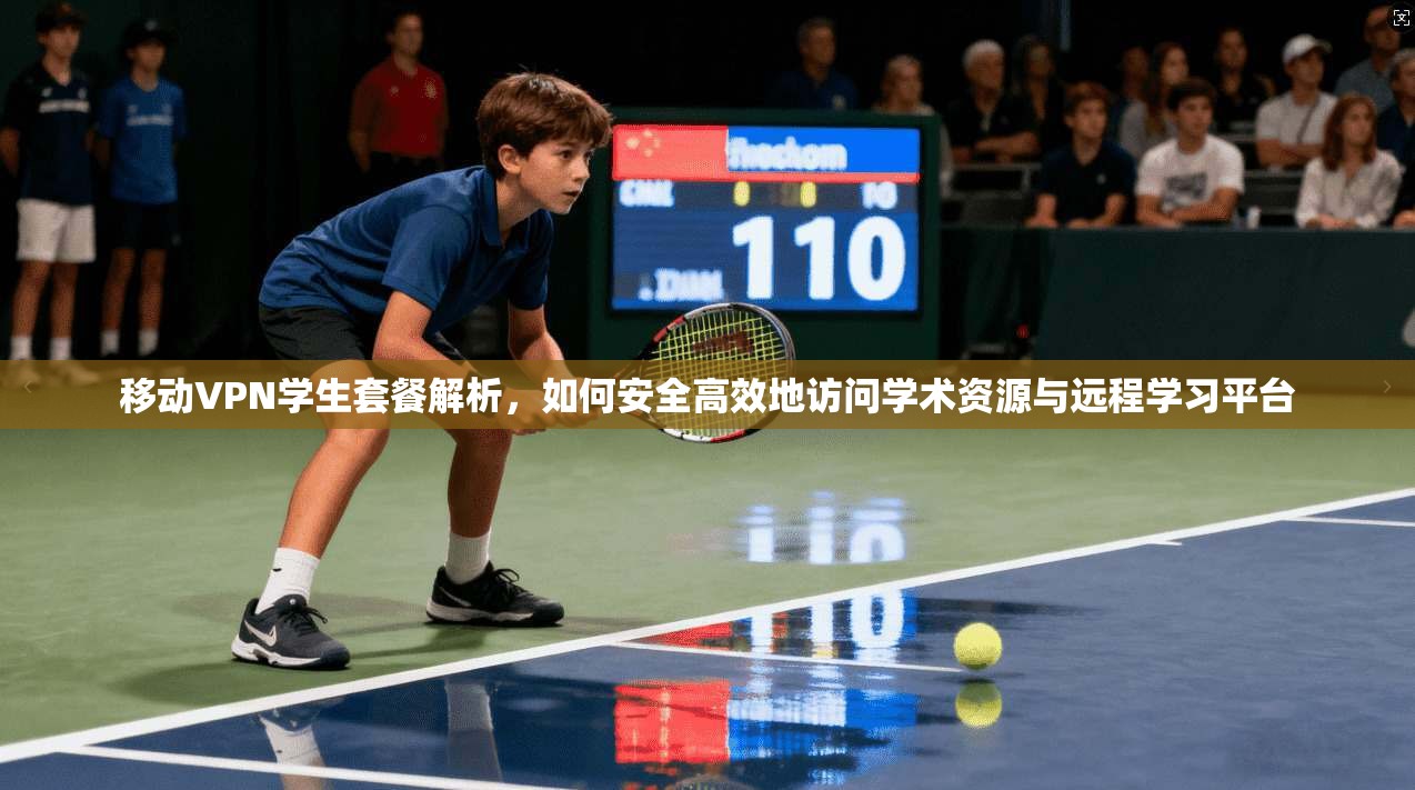 移动VPN学生套餐解析，如何安全高效地访问学术资源与远程学习平台