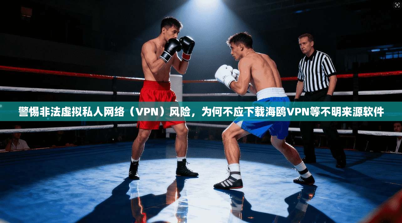 警惕非法虚拟私人网络（VPN）风险，为何不应下载海鸥VPN等不明来源软件