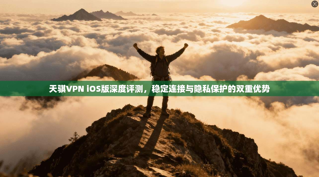 天骐VPN iOS版深度评测，稳定连接与隐私保护的双重优势