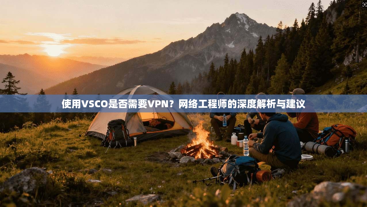 使用VSCO是否需要VPN？网络工程师的深度解析与建议