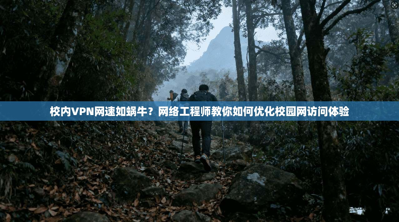 校内VPN网速如蜗牛？网络工程师教你如何优化校园网访问体验