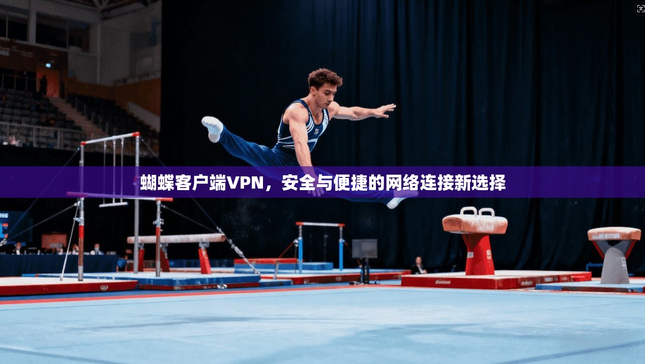蝴蝶客户端VPN，安全与便捷的网络连接新选择