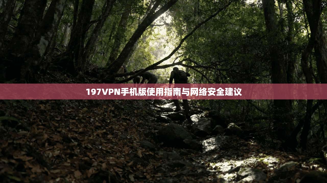 197VPN手机版使用指南与网络安全建议