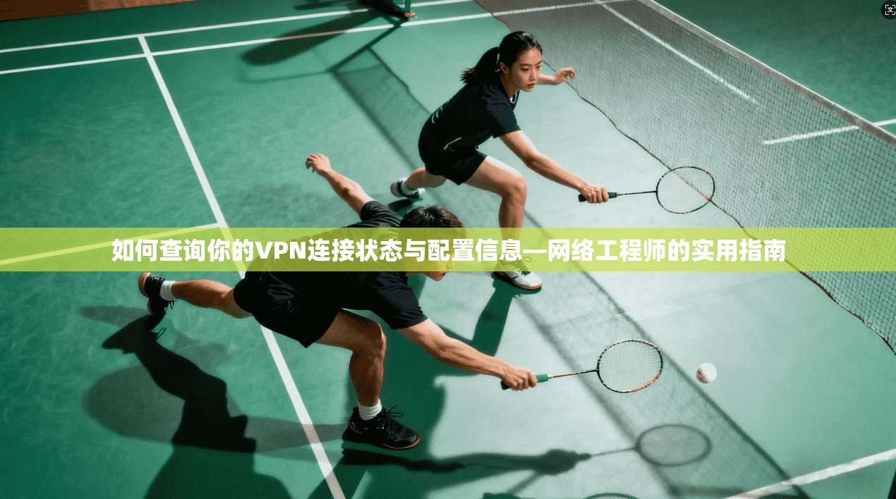 如何查询你的VPN连接状态与配置信息—网络工程师的实用指南