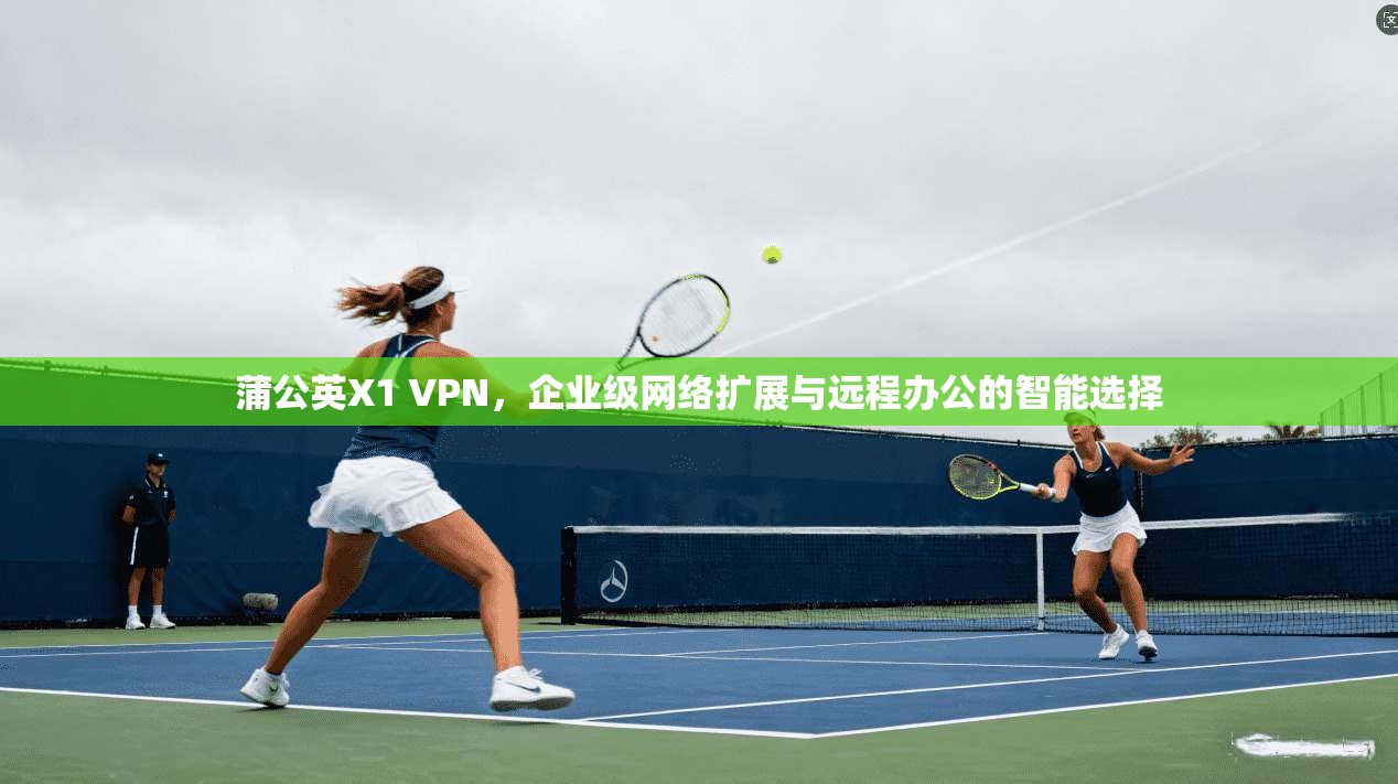 蒲公英X1 VPN，企业级网络扩展与远程办公的智能选择