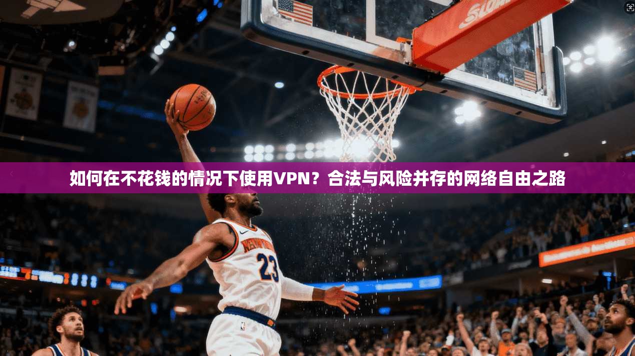 如何在不花钱的情况下使用VPN？合法与风险并存的网络自由之路