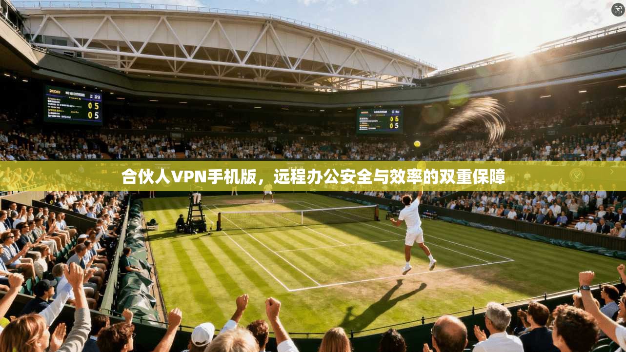 合伙人VPN手机版，远程办公安全与效率的双重保障