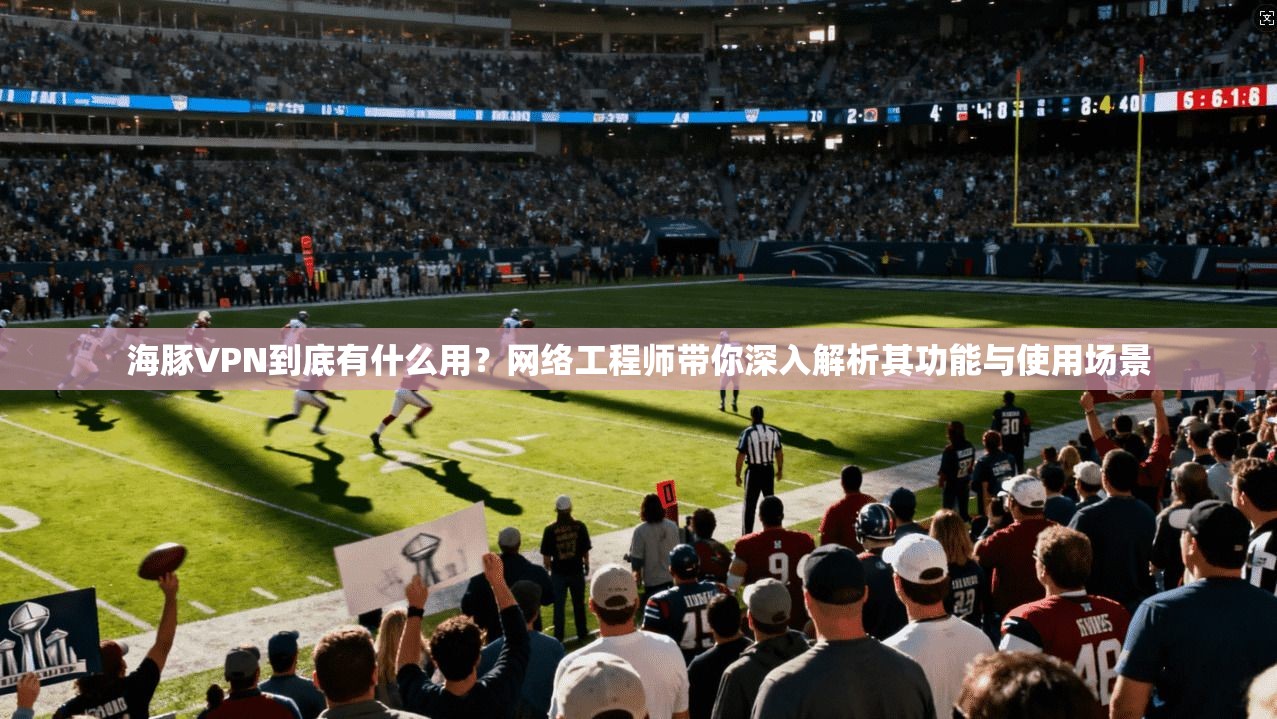 海豚VPN到底有什么用？网络工程师带你深入解析其功能与使用场景