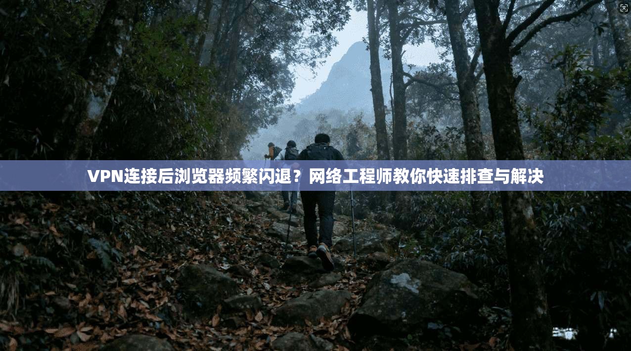 VPN连接后浏览器频繁闪退？网络工程师教你快速排查与解决