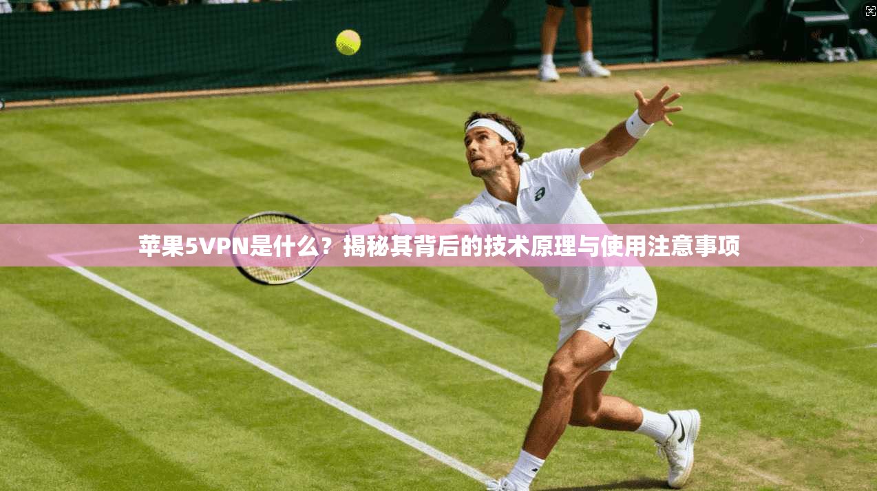 苹果5VPN是什么？揭秘其背后的技术原理与使用注意事项