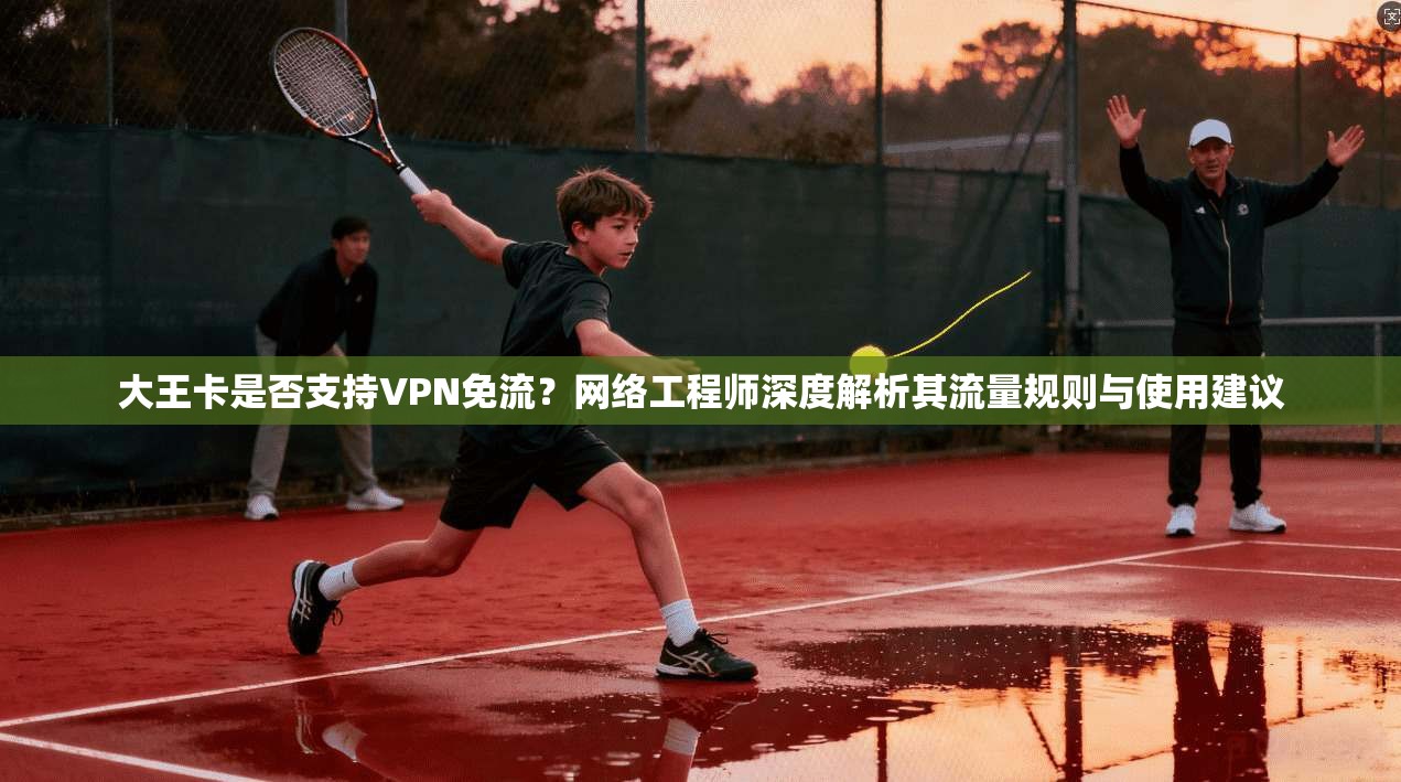 大王卡是否支持VPN免流？网络工程师深度解析其流量规则与使用建议