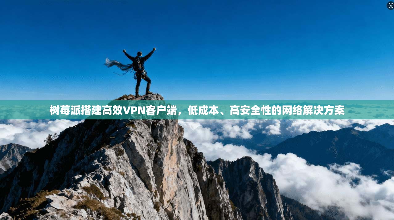 树莓派搭建高效VPN客户端，低成本、高安全性的网络解决方案