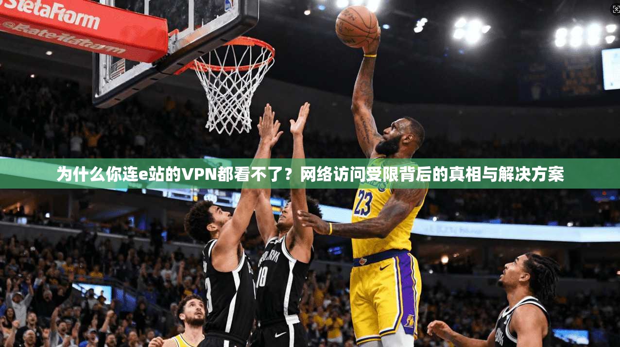 为什么你连e站的VPN都看不了？网络访问受限背后的真相与解决方案