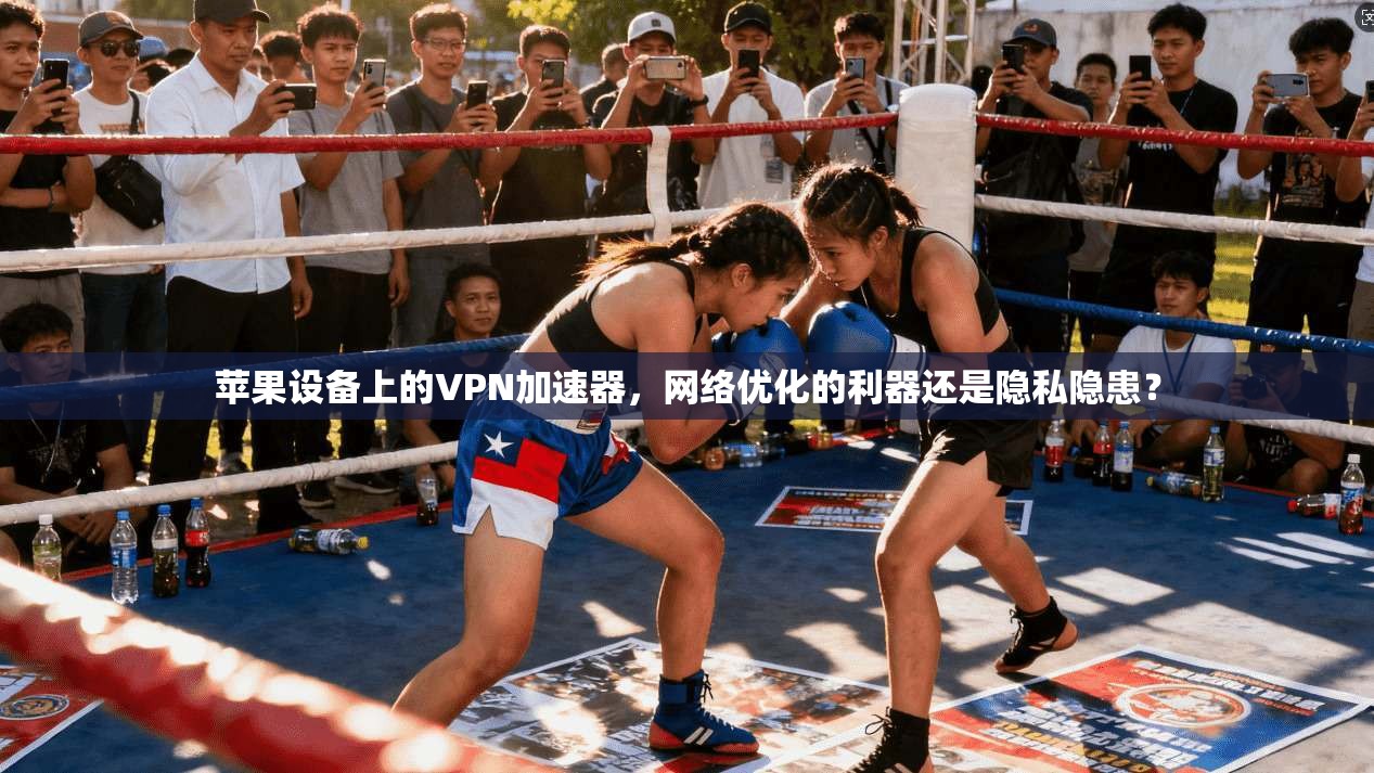 苹果设备上的VPN加速器，网络优化的利器还是隐私隐患？