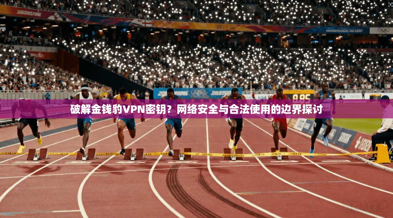 破解金钱豹VPN密钥？网络安全与合法使用的边界探讨