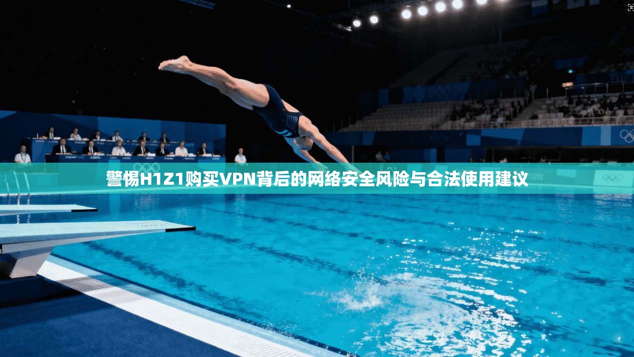 警惕H1Z1购买VPN背后的网络安全风险与合法使用建议