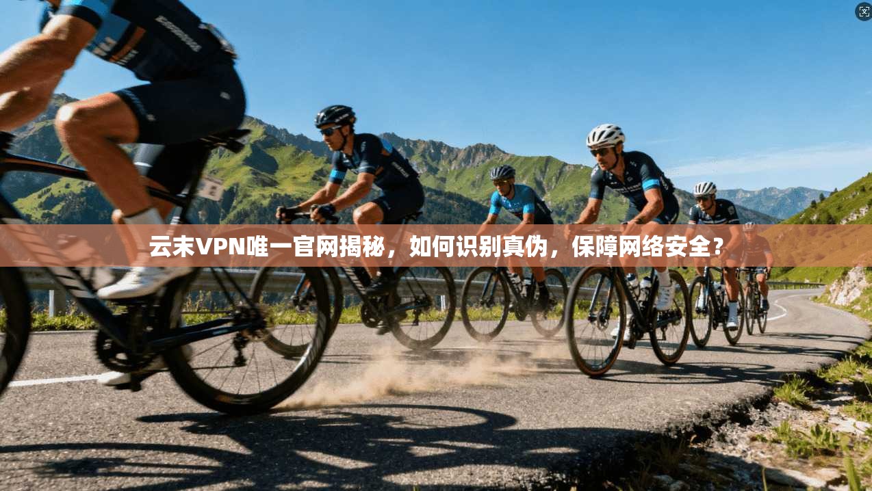 云末VPN唯一官网揭秘，如何识别真伪，保障网络安全？