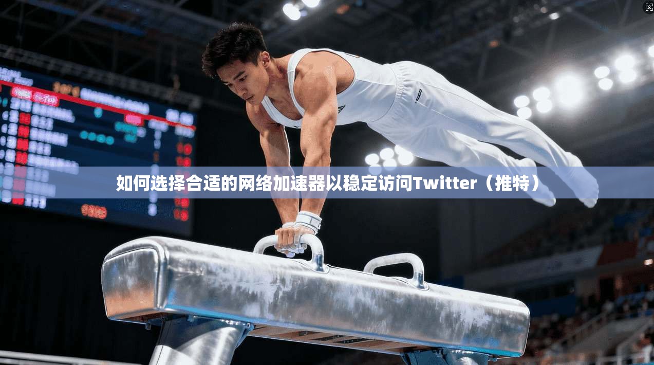 如何选择合适的网络加速器以稳定访问Twitter（推特）