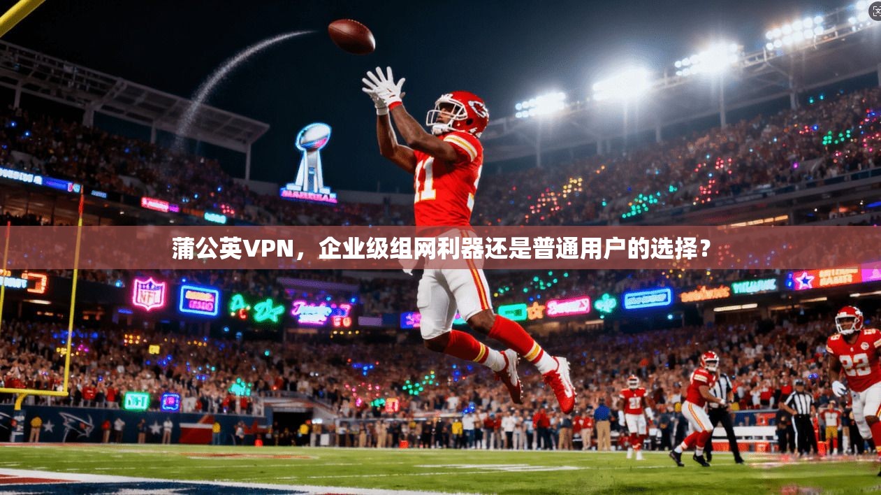 蒲公英VPN，企业级组网利器还是普通用户的选择？