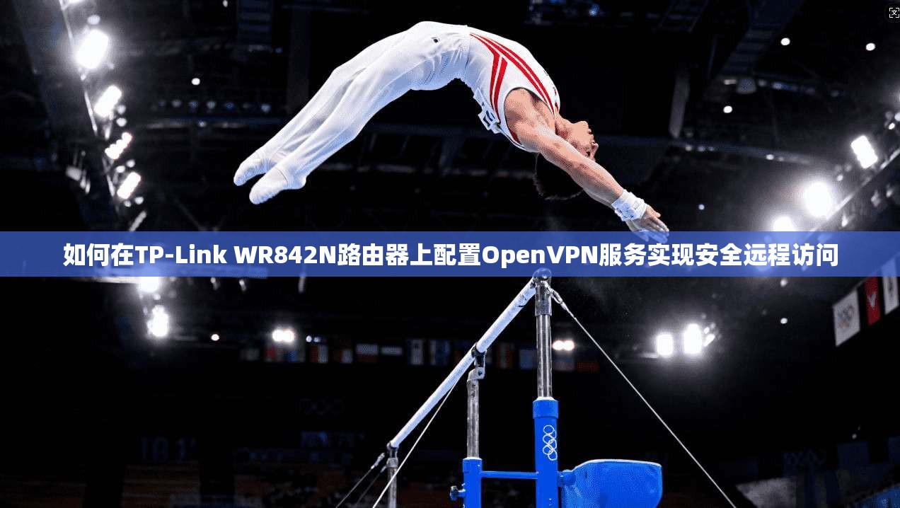 如何在TP-Link WR842N路由器上配置OpenVPN服务实现安全远程访问