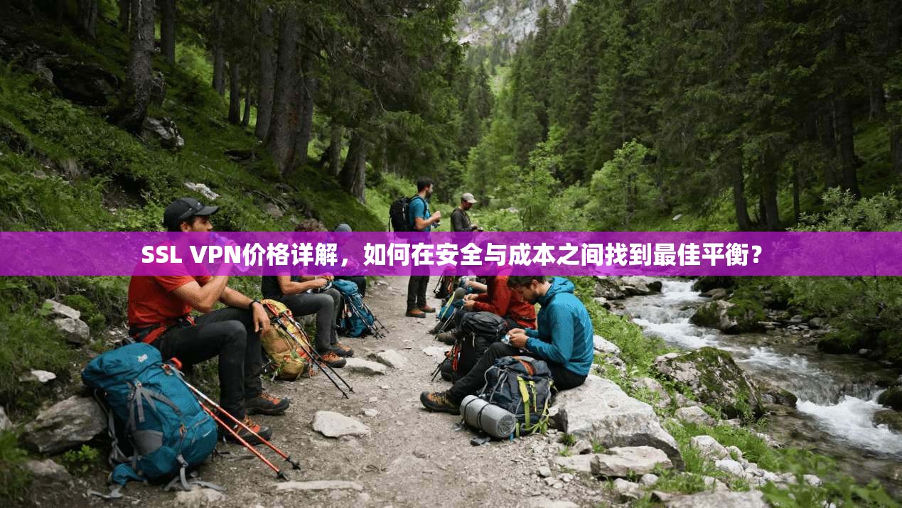 SSL VPN价格详解，如何在安全与成本之间找到最佳平衡？
