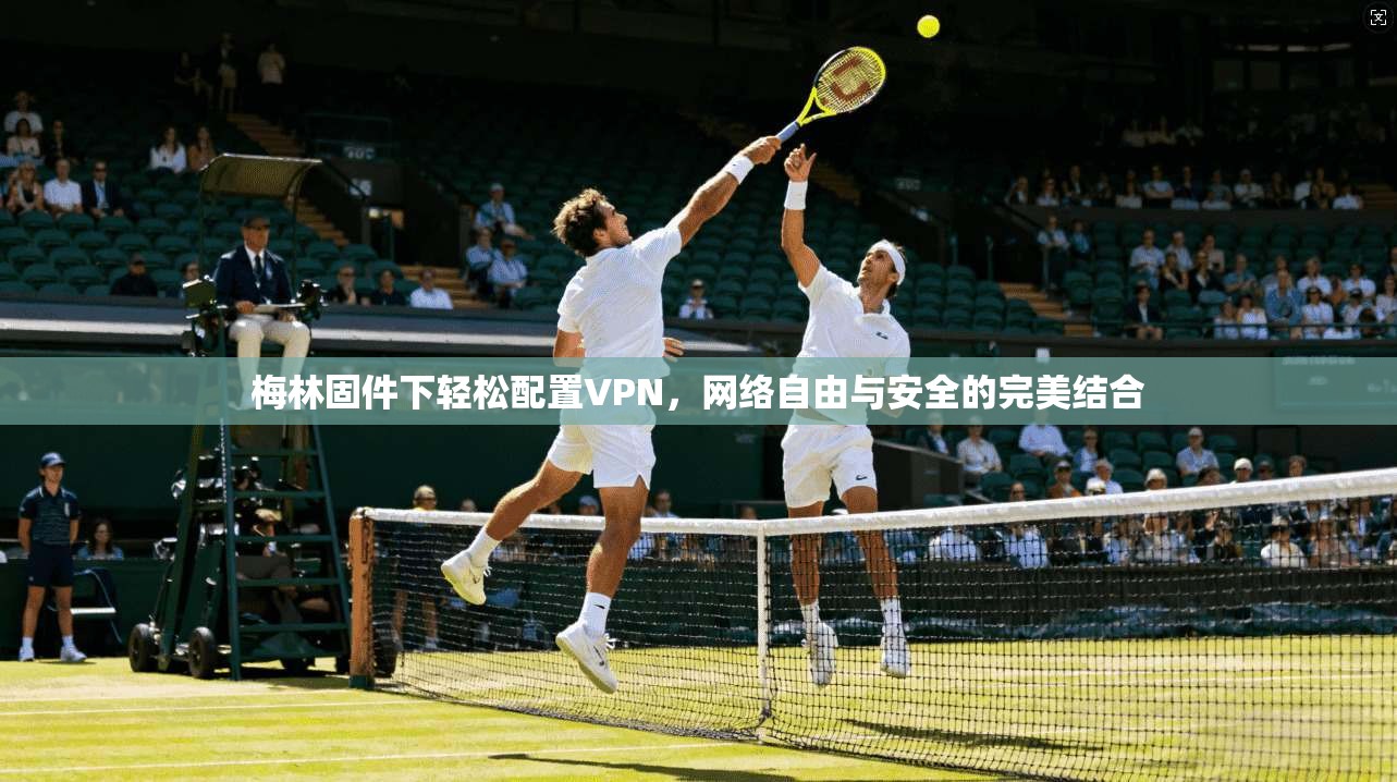 梅林固件下轻松配置VPN，网络自由与安全的完美结合